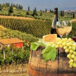 Clair winery vineyard tasting marlborough saint grape zealand lunch extras blenheim wineries